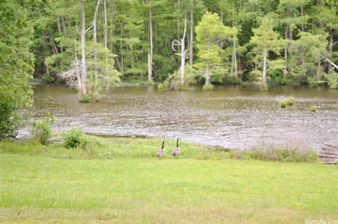 46 Lakeshore Dr, Conway, AR 72032 photo 3