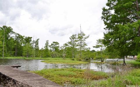 46 Lakeshore Dr, Conway, AR 72032 photo 4