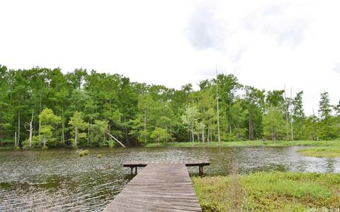 46 Lakeshore Dr, Conway, AR 72032 photo 1