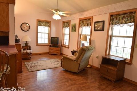 511 Cedar Ave, Mountain View, AR 72560 photo 17