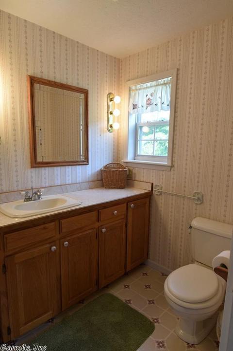 511 Cedar Ave, Mountain View, AR 72560 photo 20
