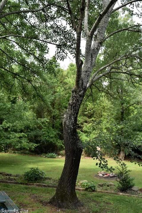 511 Cedar Ave, Mountain View, AR 72560 photo 36