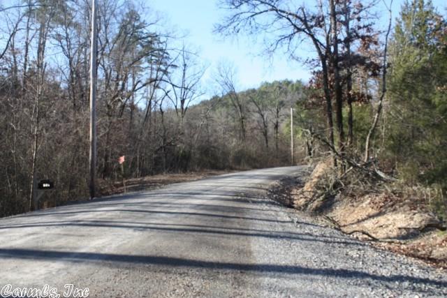 877 Polk 61, Mena, AR 71953 photo 10