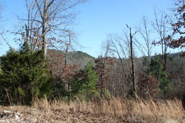 877 Polk 61, Mena, AR 71953 photo 8