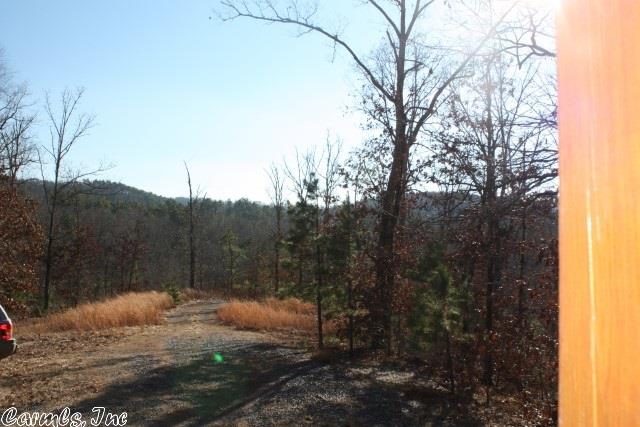 877 Polk 61, Mena, AR 71953 photo 7