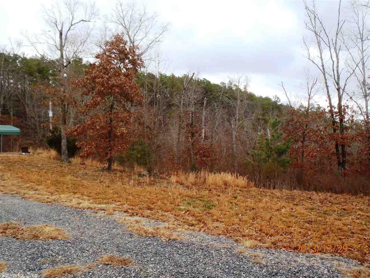 877 Polk 61, Mena, AR 71953 photo 21