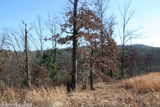 877 Polk 61, Mena, AR 71953 photo 9