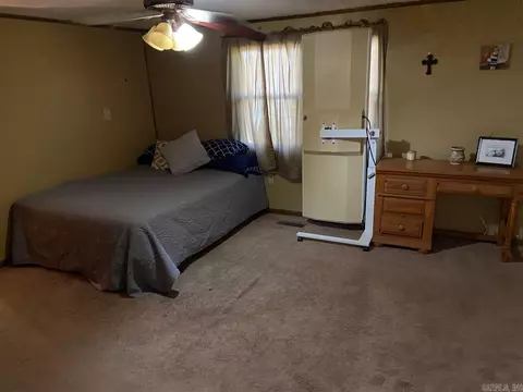 249 E 2nd St, O'kean, AR 72449 photo 18