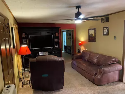 249 E 2nd St, O'kean, AR 72449 photo 7
