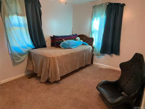 249 E 2nd St, O'kean, AR 72449 photo 21