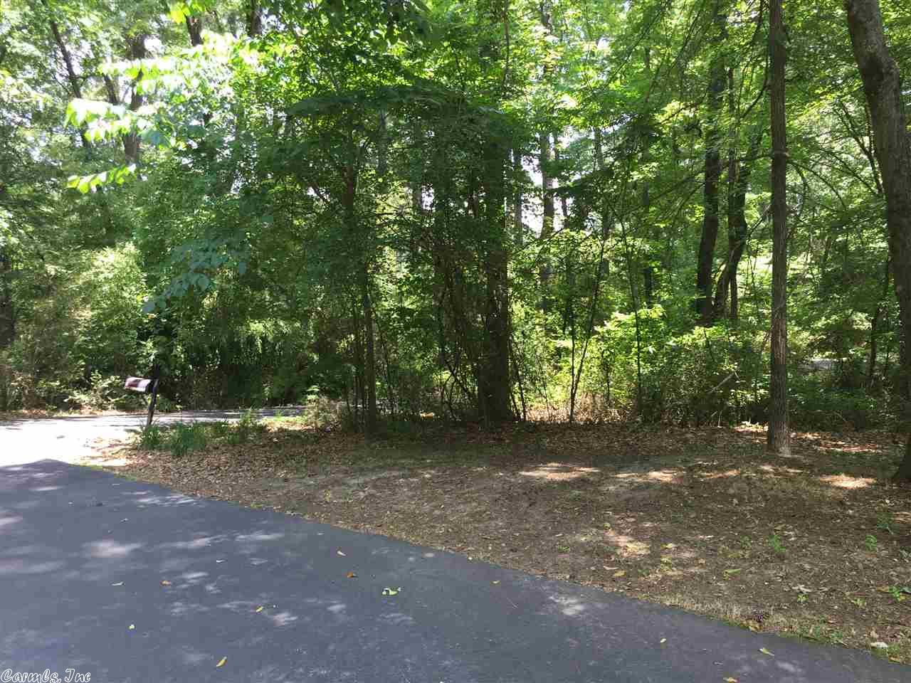 7 Bartholomew Dr, Pine Bluff, AR 71603 photo 37