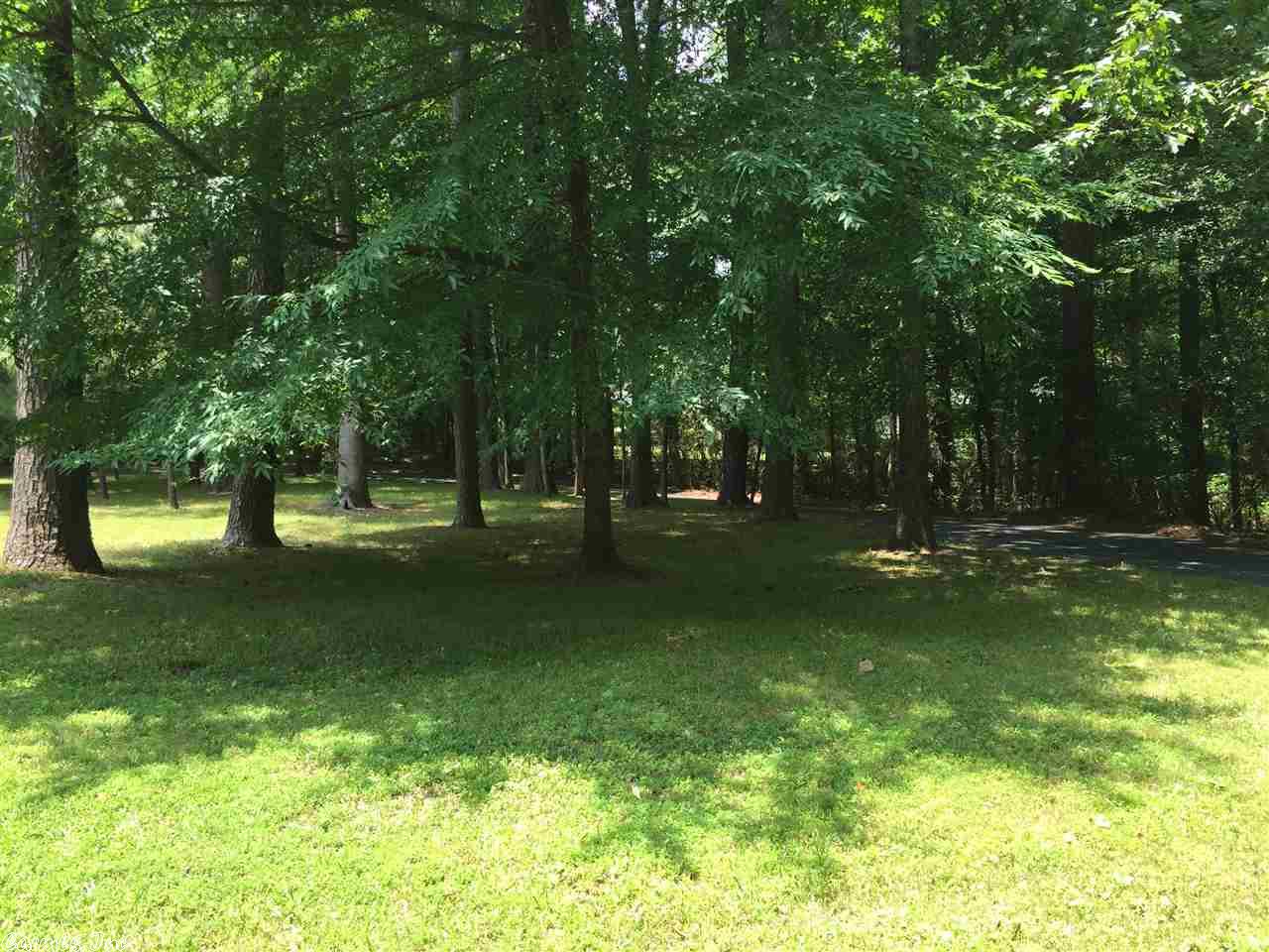 7 Bartholomew Dr, Pine Bluff, AR 71603 photo 8