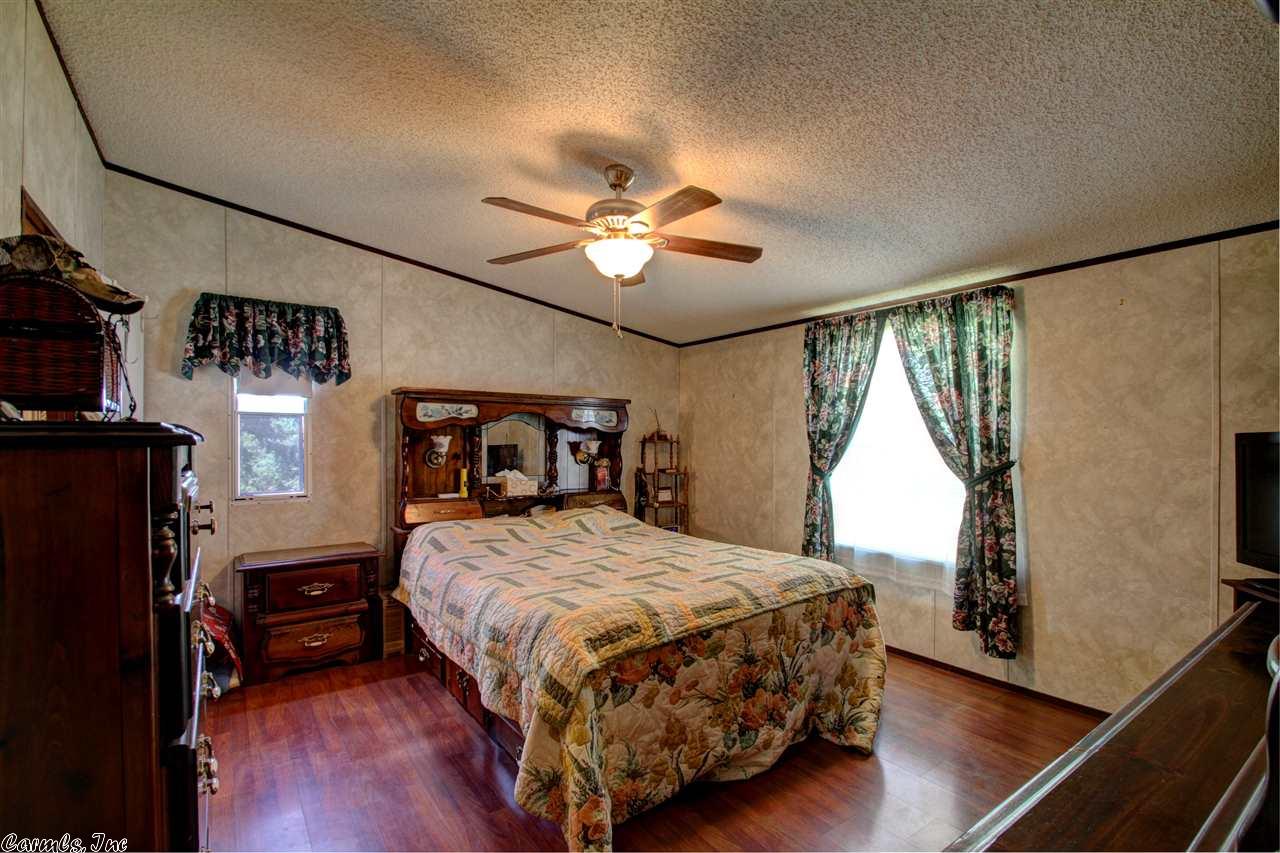 49 Peavine Creek Cv, Greenbrier, AR 72058 photo 23