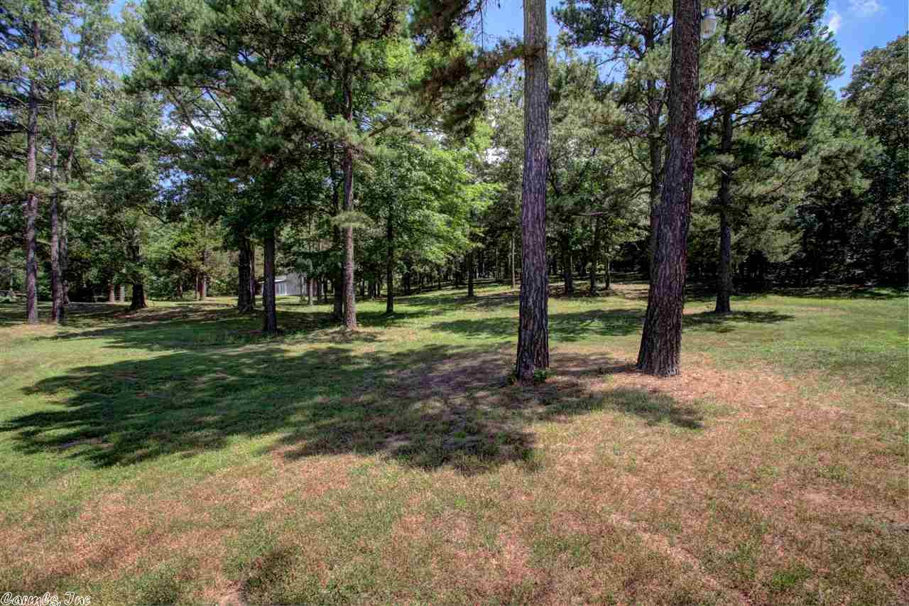 49 Peavine Creek Cv, Greenbrier, AR 72058 photo 2