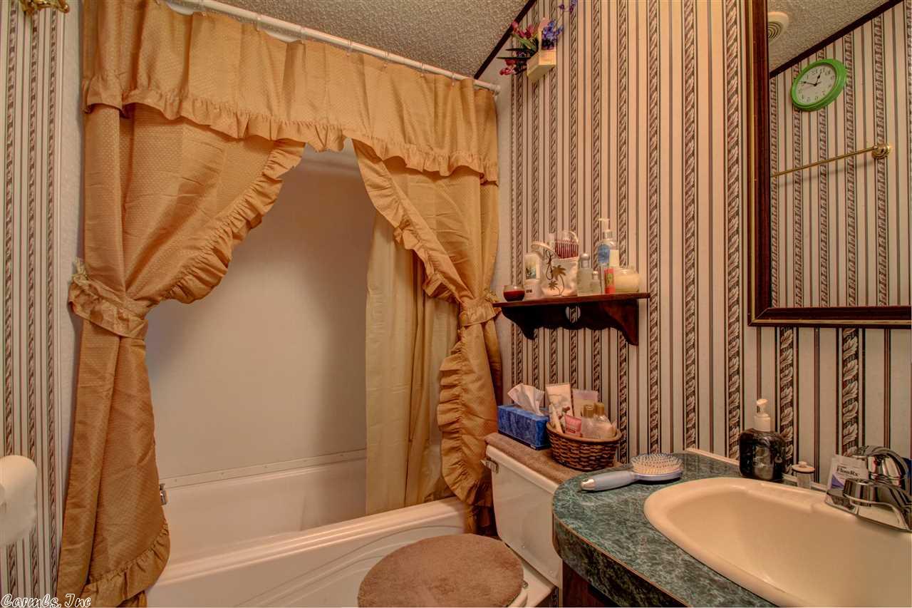 49 Peavine Creek Cv, Greenbrier, AR 72058 photo 30
