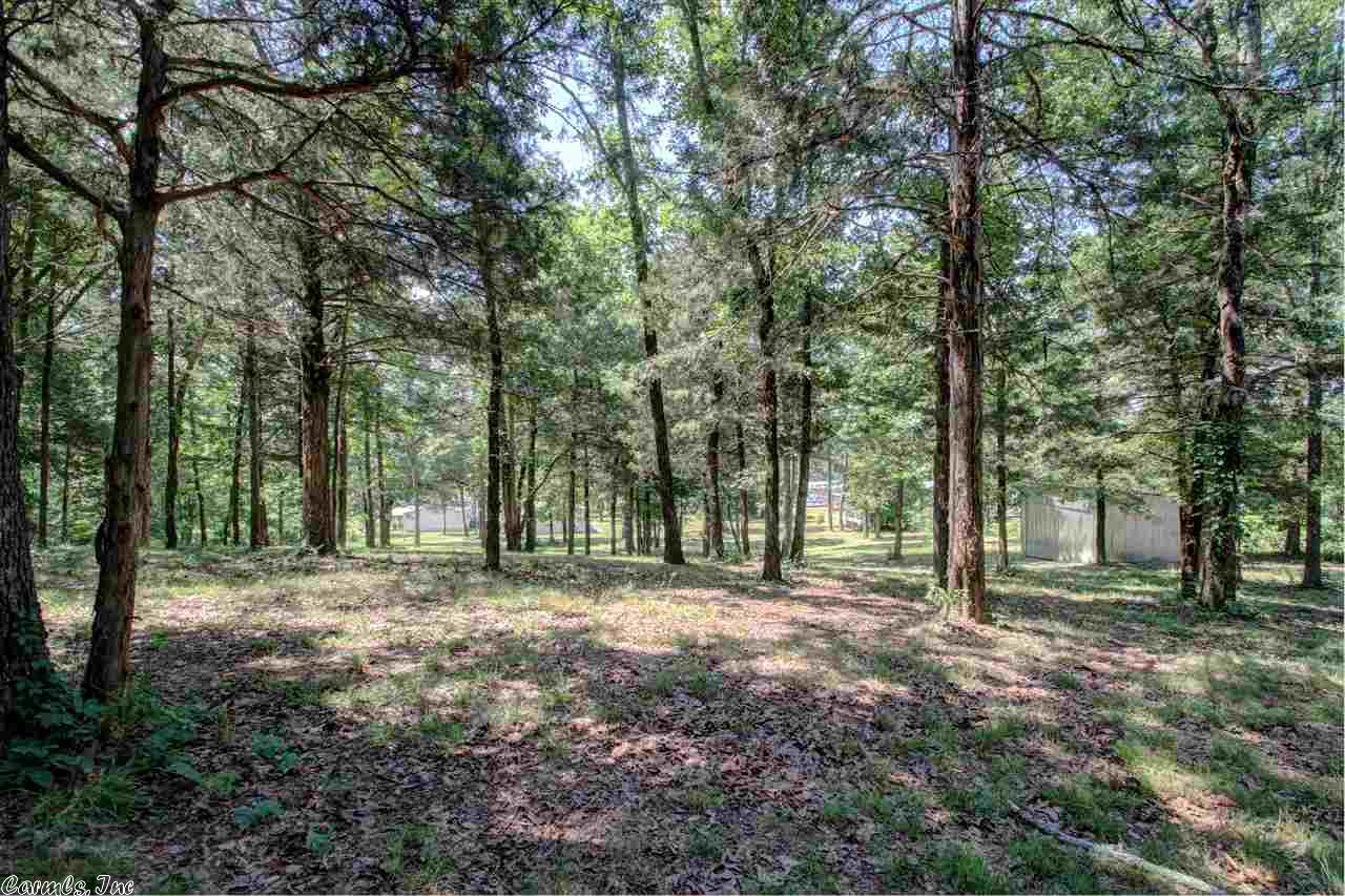 49 Peavine Creek Cv, Greenbrier, AR 72058 photo 3