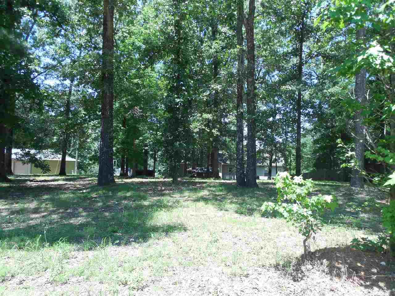 867 Northgate Dr, Benton, AR 72019 photo 36