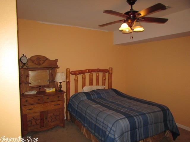 334 Clint Dr, Bismarck, AR 71929 photo 19
