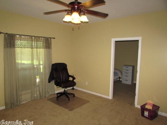 334 Clint Dr, Bismarck, AR 71929 photo 20