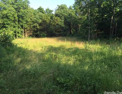531 E Hwy 74, Marshall, AR 72650 photo 3
