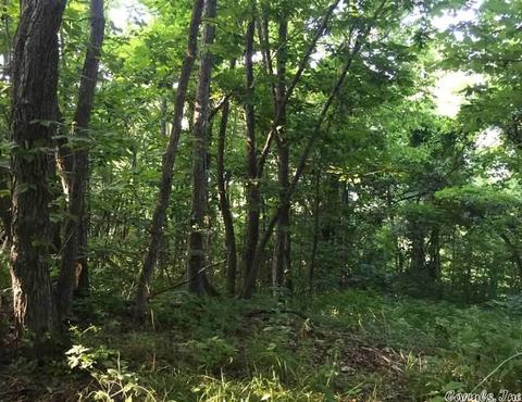 531 E Hwy 74, Marshall, AR 72650 photo 6