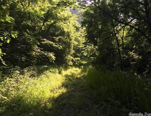 531 E Hwy 74, Marshall, AR 72650 photo 14