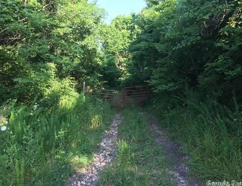 531 E Hwy 74, Marshall, AR 72650 photo 12