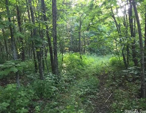 531 E Hwy 74, Marshall, AR 72650 photo 16