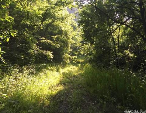 531 E Hwy 74, Marshall, AR 72650 photo 25