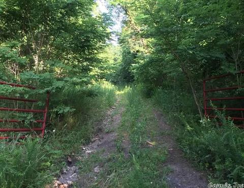 531 E Hwy 74, Marshall, AR 72650 photo 9