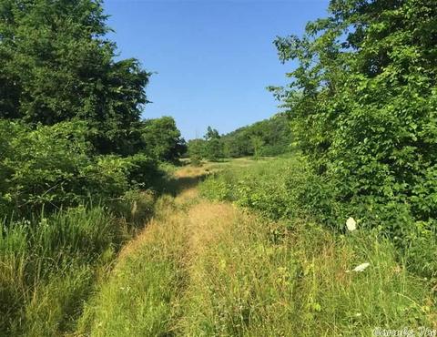 531 E Hwy 74, Marshall, AR 72650 photo 8