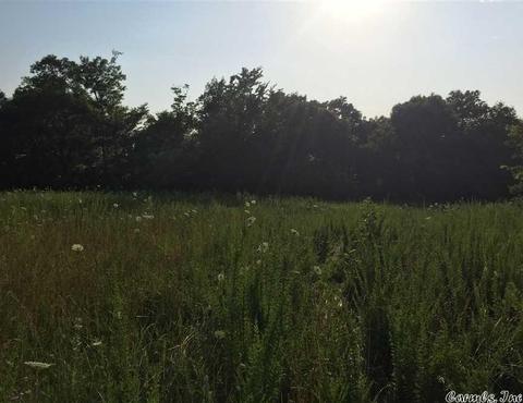 531 E Hwy 74, Marshall, AR 72650 photo 10