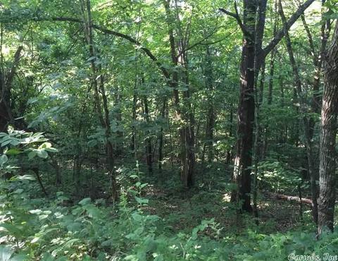531 E Hwy 74, Marshall, AR 72650 photo 30