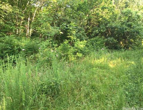 531 E Hwy 74, Marshall, AR 72650 photo 34
