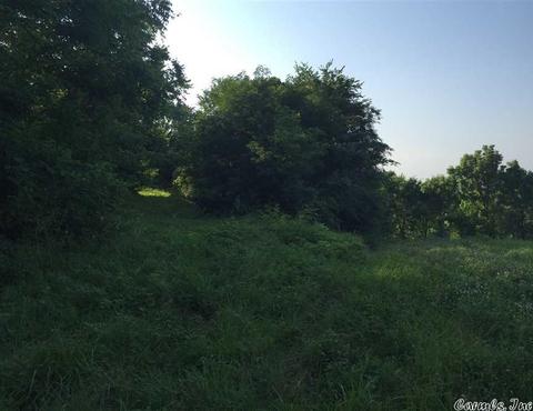 531 E Hwy 74, Marshall, AR 72650 photo 21