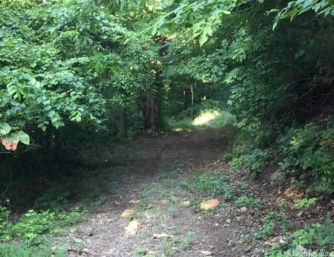 531 E Hwy 74, Marshall, AR 72650 photo 15