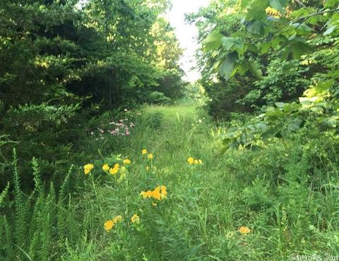 531 E Hwy 74, Marshall, AR 72650 photo 24