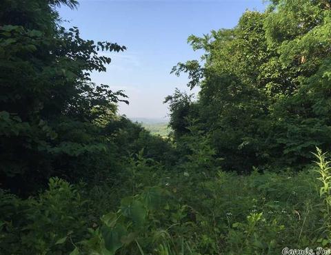 531 E Hwy 74, Marshall, AR 72650 photo 7