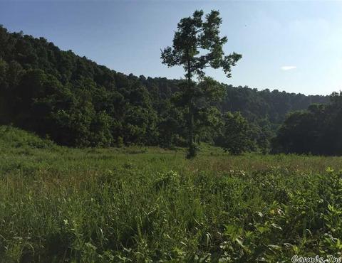 531 E Hwy 74, Marshall, AR 72650 photo 2
