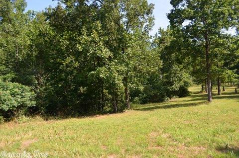 211 Simolin Ln, Mena, AR 71953 photo 4