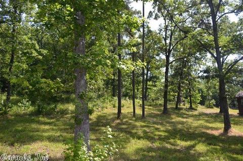 211 Simolin Ln, Mena, AR 71953 photo 16