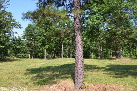 211 Simolin Ln, Mena, AR 71953 photo 8
