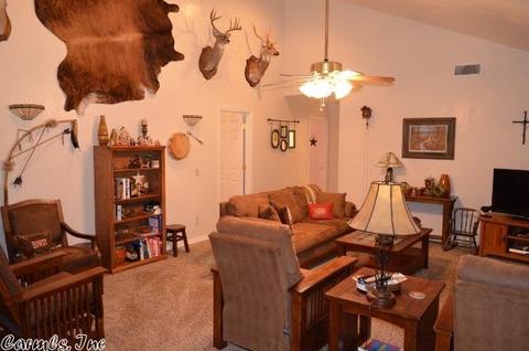 211 Simolin Ln, Mena, AR 71953 photo 23