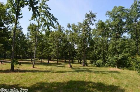 211 Simolin Ln, Mena, AR 71953 photo 17