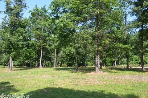 211 Simolin Ln, Mena, AR 71953 photo 10