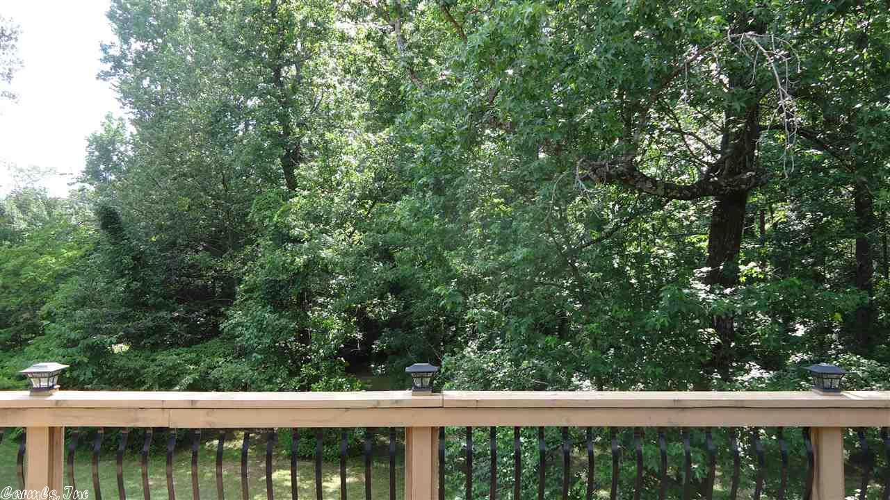 3506 Congo Rd, Benton, AR 72019 photo 39