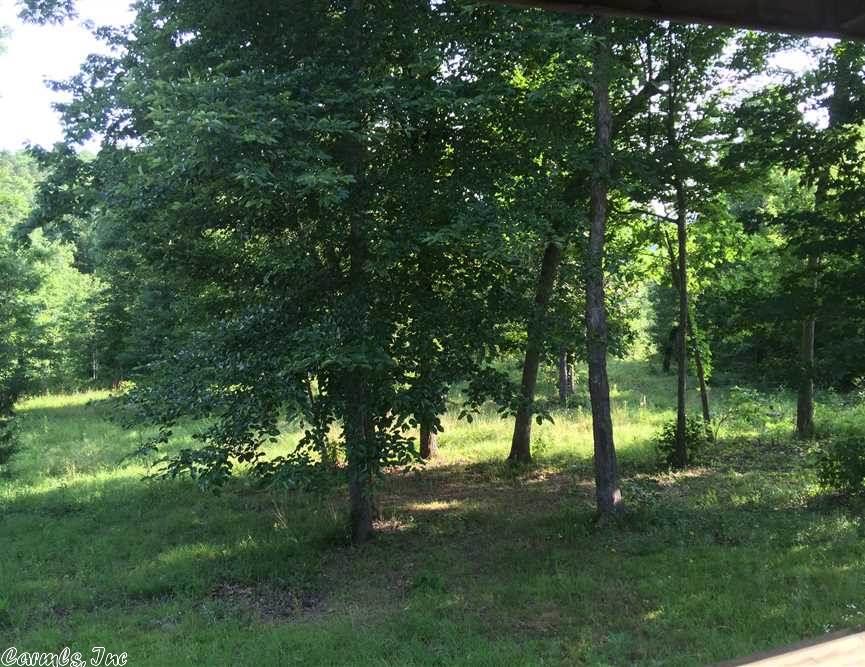1116 Bear Path Rd, Leslie, AR 72645 photo 23