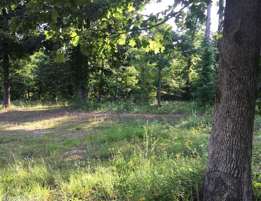 1116 Bear Path Rd, Leslie, AR 72645 photo 17