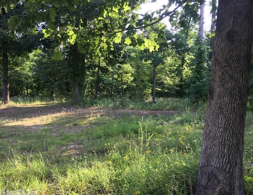 1116 Bear Path Rd, Leslie, AR 72645 photo 28