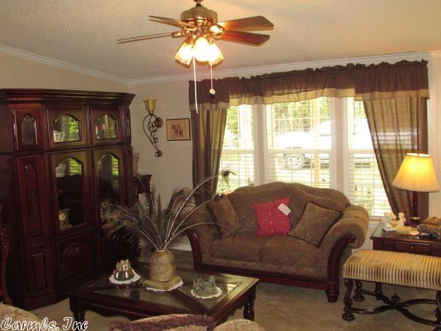 1280 Alpine Rd, Amity, AR 71921 photo 8